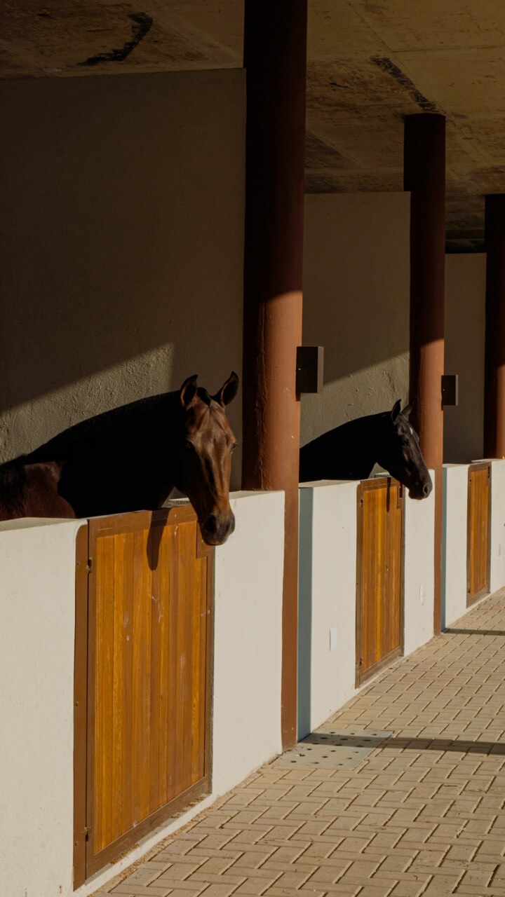 Vila Hípica - Foto 2