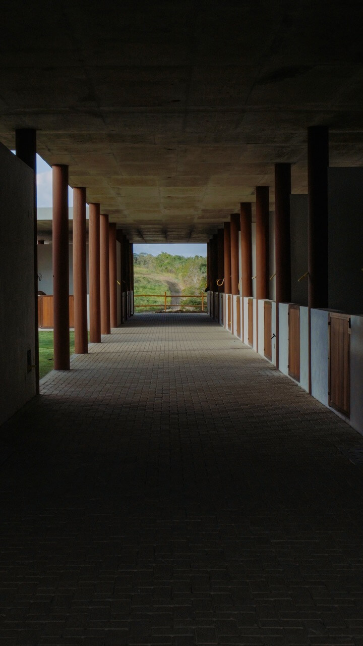 Vila Hípica - Foto 4